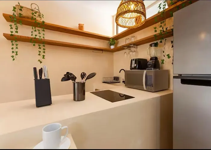 Apartment Cocay Departamento Jt *