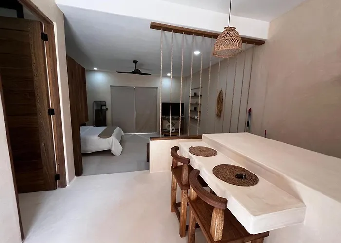 Cocay Departamento Jt Tulum